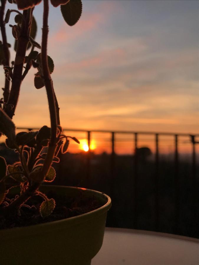 La Terrazza Apartment Cori Ngoại thất bức ảnh